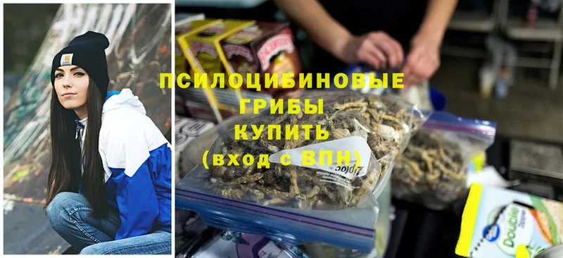 магазин продажи наркотиков  Ишим  Галлюциногенные грибы Cubensis 